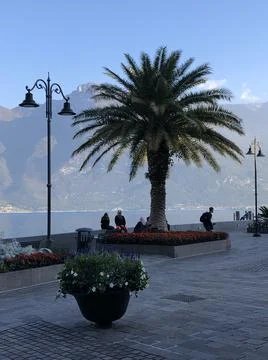 Gardasee Stock Photos
