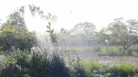 Garden 004 Stock Footage 281579393