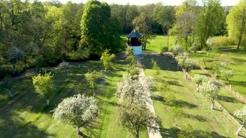 Garden 2 Stock Footage 130999573