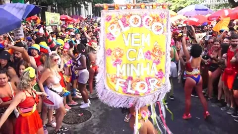 A garden of 30,000 people blooms at the Rio carnival, Río de Janeiro, BR - 16 Fe Stock Footage 329059319