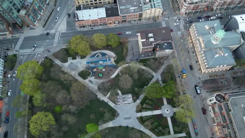 Garden from Above Stock Footage 240746011