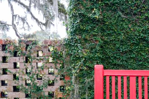Garden abstract Stock Photos