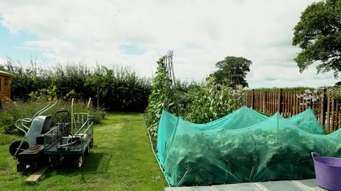 Garden allotment vegetable plot pan Vídeos de archivo 78178212