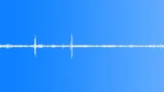 Garden Ambience, Tasmania, Birds Singing, Distant Traffic, Loop V1Sound Effect