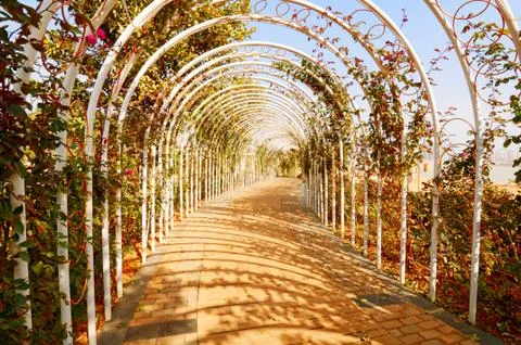 Garden and corridors Stock Photos
