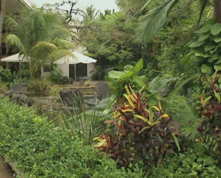 Garden and pool Vídeos de archivo 8852864