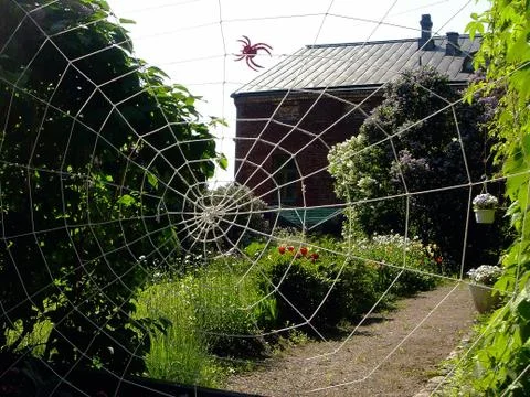 Garden and web Stock Photos