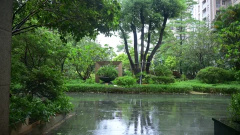 Garden of apartment community under typhoon of category 10 video with sound 스톡 동영상 328706196