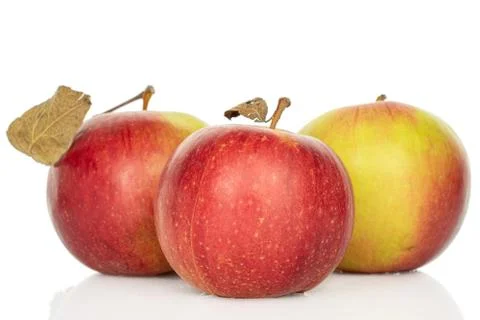 Garden apple on white Foto stock