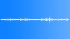 Garden Atmosphere Recorded In Sound Effect