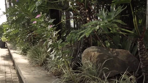 Garden atmosphere with spot light Stock Footage 288653490