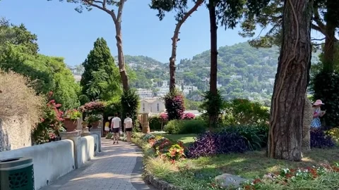 Garden of Augustus Video stock 249762132