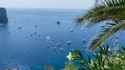 Garden of Augustus Video stock 249762134