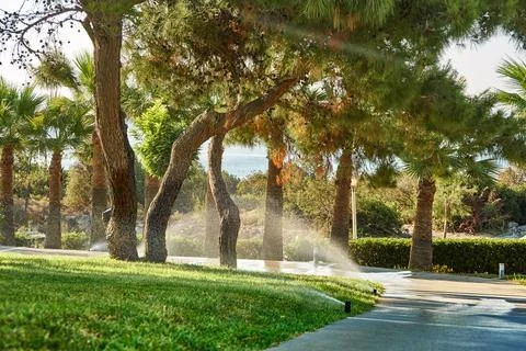 Garden automatic irrigation system. Smart lawn sprinkler system Foto stock