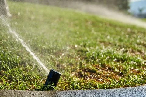 Garden automatic irrigation system. Smart lawn sprinkler system Foto stock