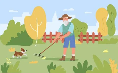 Garden autumn work, cartoon old gardener working with gardening tool rake to Stock Illustration