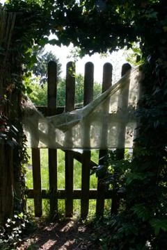 Garden in the back light Foto stock