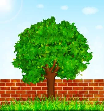 Garden background with green tree, grass and brick wall Stock Illustration