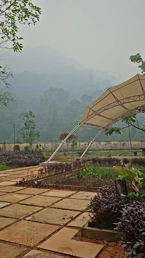 A garden with background mountain Stock Footage 346339817