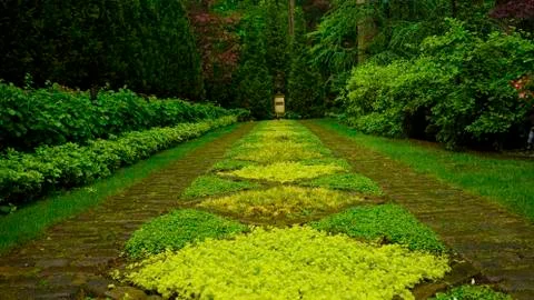 Garden Background Stock Photos