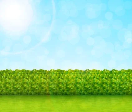 Garden background vector Stock Illustration