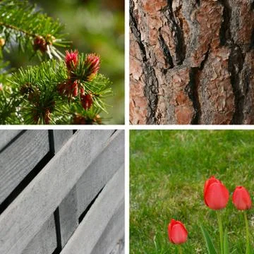 Garden backgrounds Stock Photos