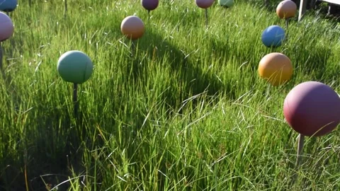 Garden ball in the meadow Stock Footage 137283785