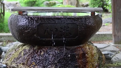 Garden basin Stock Footage 241804533