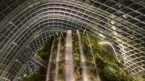Garden By The Bay 1 Video stock 106372121