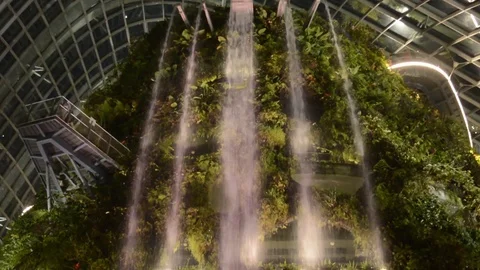 Garden By The Bay 2 Stock Footage 106372892