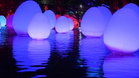 Garden by the bay Stock Footage 143927544