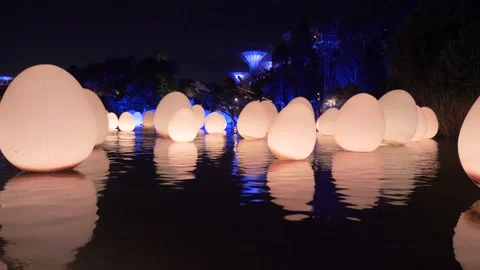 Garden by the bay Stock Footage 144286214