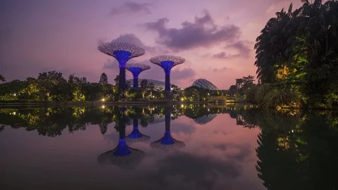 Garden by the Bay super trees reflection time-lapse clip, Singapore Stock Footage 122374351