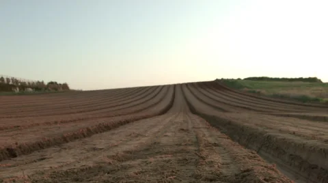 Garden Bed Field Video stock 59517494