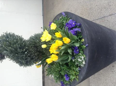 Garden-bed Stock-Fotos