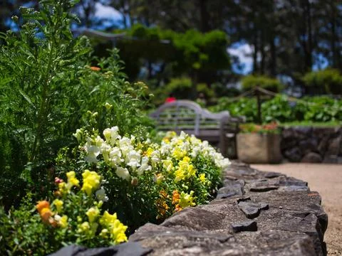 Garden Bed Stock Photos