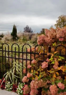 Garden behing iron gate Stock Photos