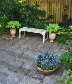 Garden, bench and pot in spring with flowers, growth and purple blossom wit.. Fotos Stock