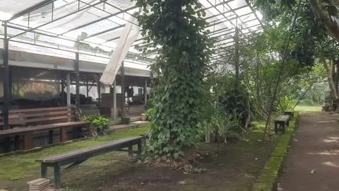 Garden with Bench Stock Footage 329373551