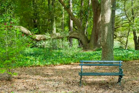 Garden bench 스톡 사진