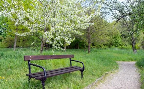 Garden bench Stock Photos