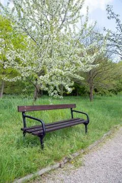 Garden bench Stock Photos
