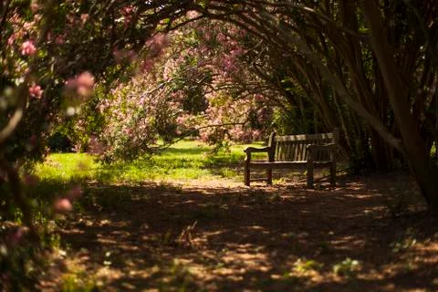 Garden Bench Stock Photos
