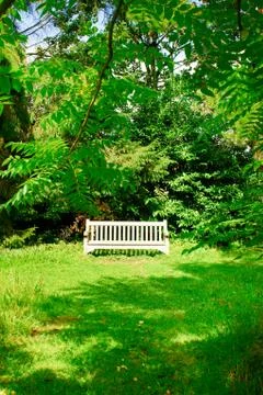 Garden bench Stock Photos