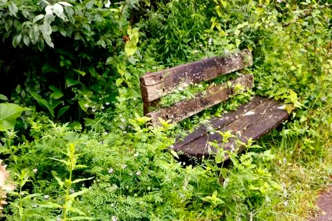 Garden bench Stock Photos