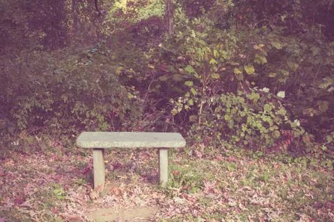 Garden Bench Stock Photos