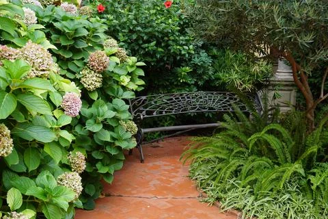 Garden bench set on path amongst greenery Foto stock