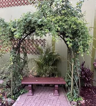 Garden bench under leafy arbor Stock Photos