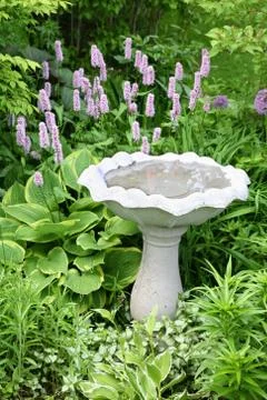 Garden birdbath Stock Photos