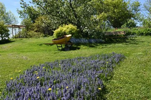 The garden in bloom in spring Stock Photos